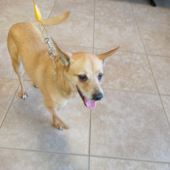 @luckygirl1609 Come & join Everyone is welcome💖 - Picture 14 of 16